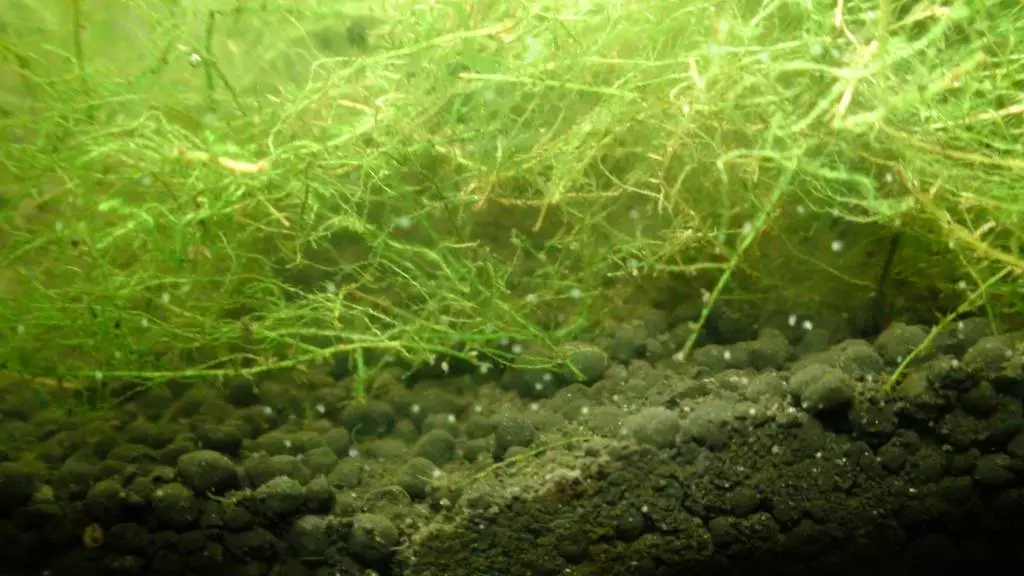 Fotka č. 4 k příspěvku 843156