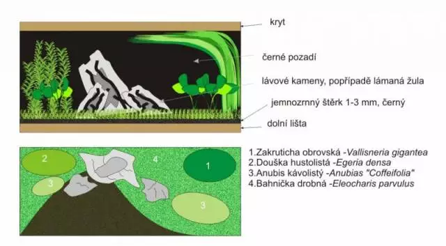 Fotka č. 1 k příspěvku 84788