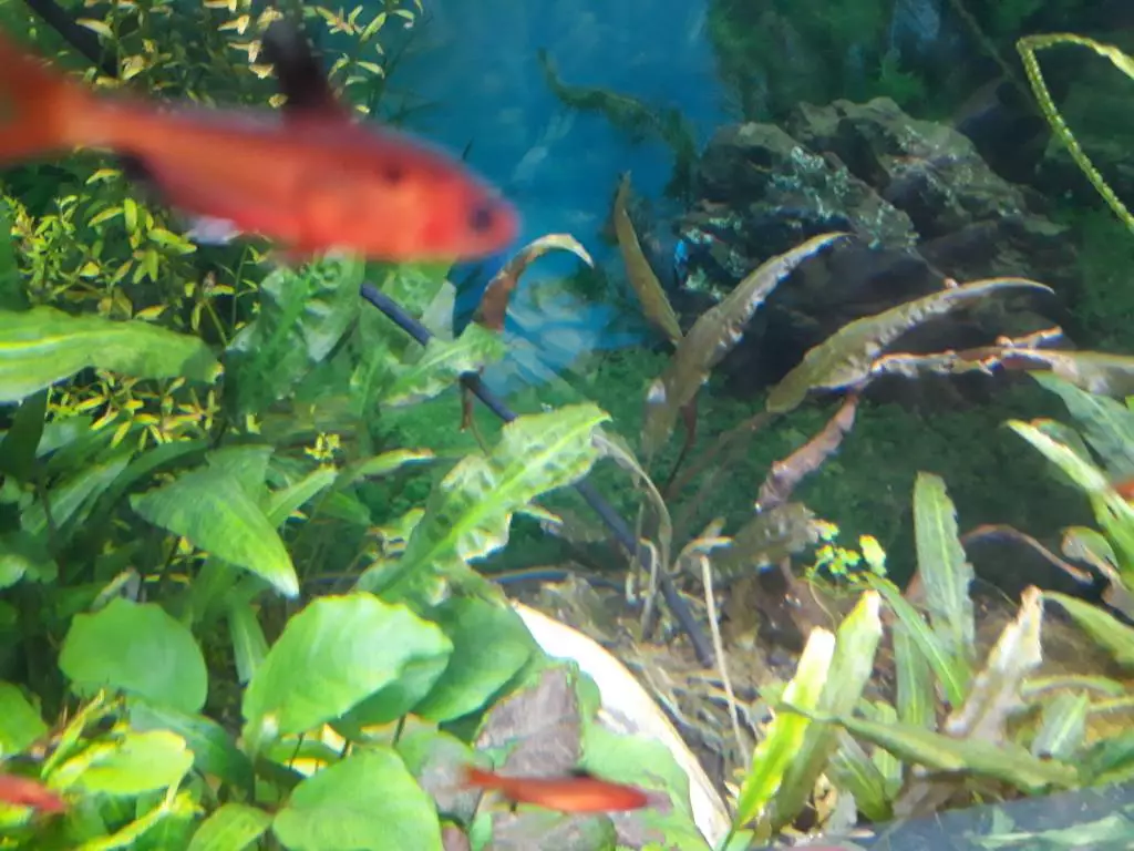 Fotka č. 1 k příspěvku 849810