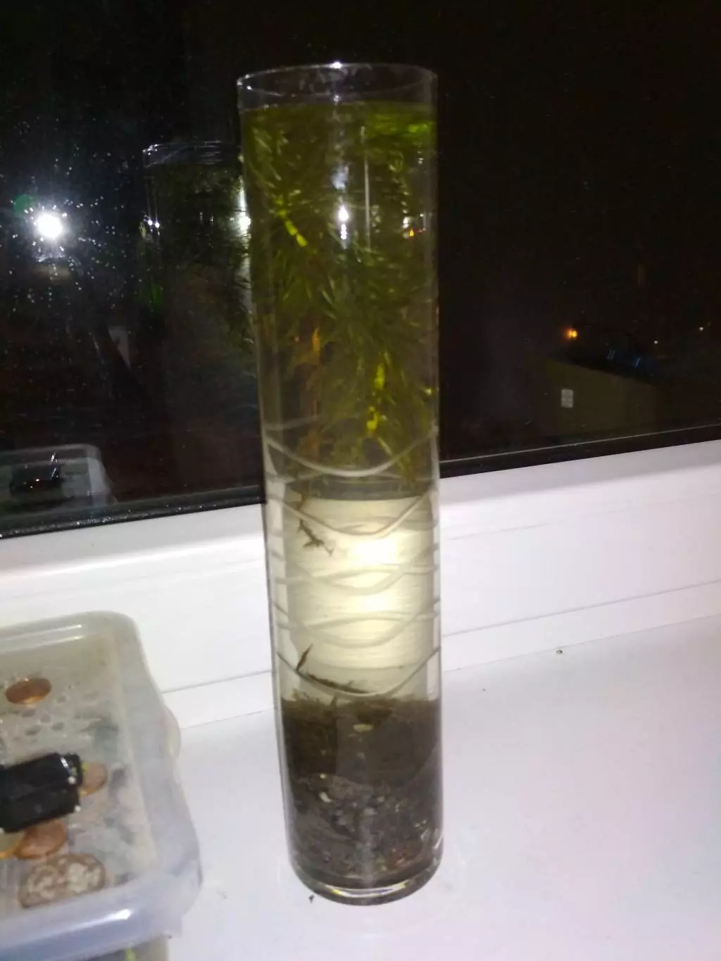 Fotka č. 1 k příspěvku 853940