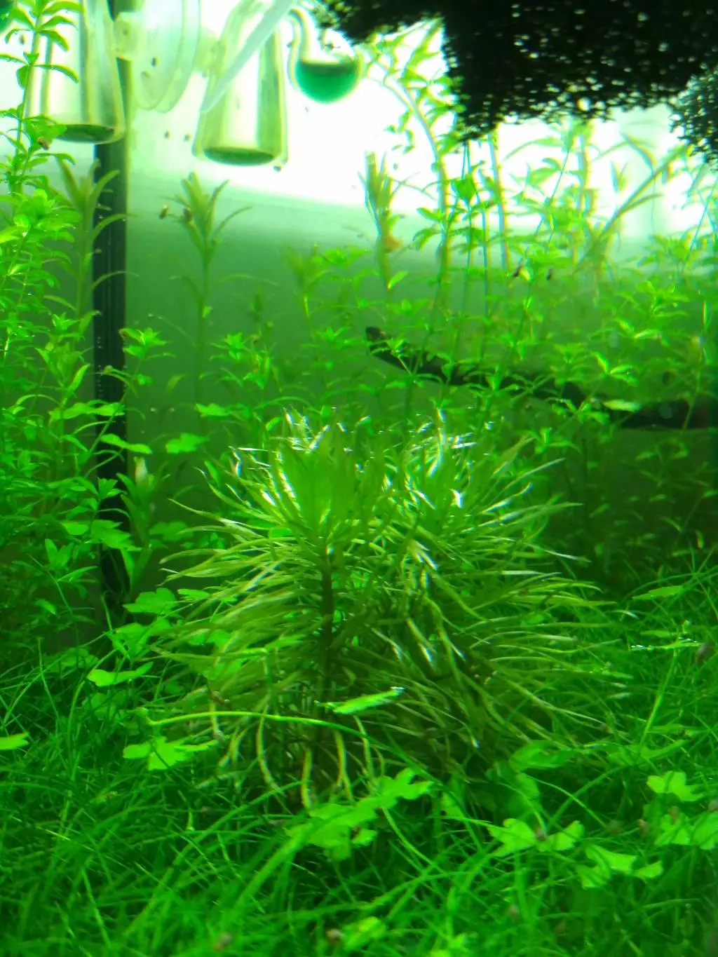 Fotka č. 2 k příspěvku 853940