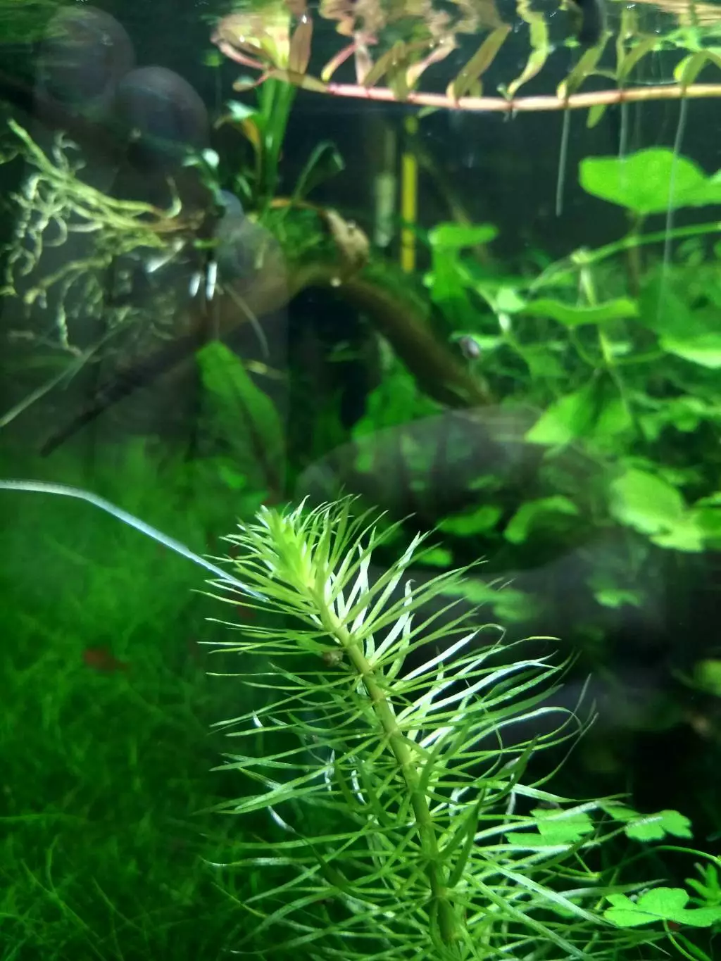 Fotka č. 2 k příspěvku 854566