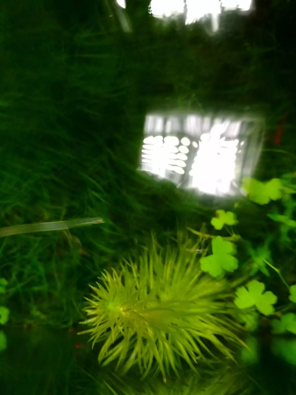 Fotka č. 3 k příspěvku 854566