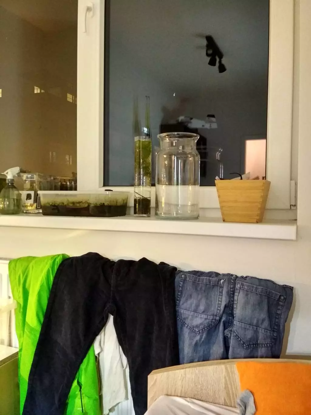 Fotka č. 5 k příspěvku 854566