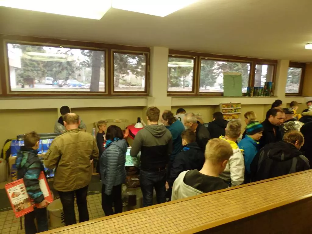 Fotka č. 5 k příspěvku 858776