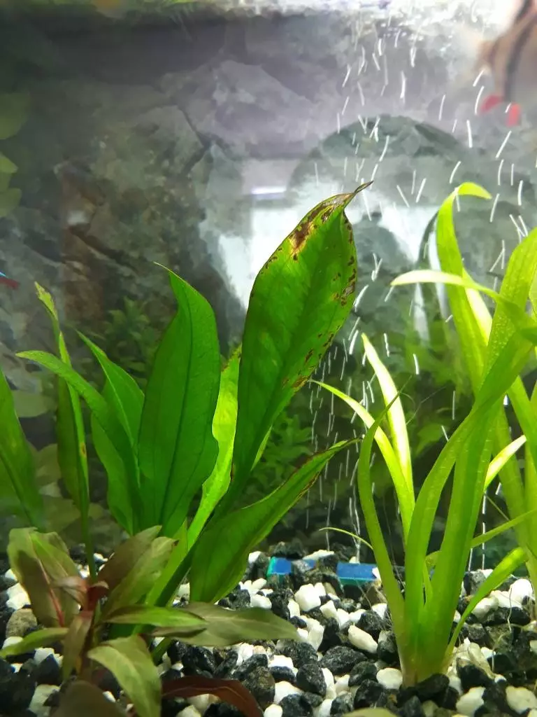 Fotka č. 1 k příspěvku 864723