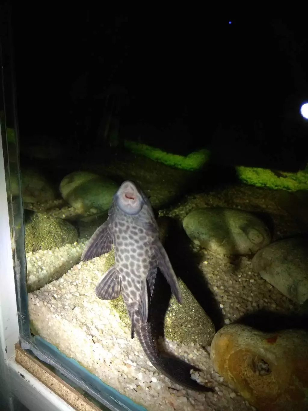 Fotka č. 4 k příspěvku 865979