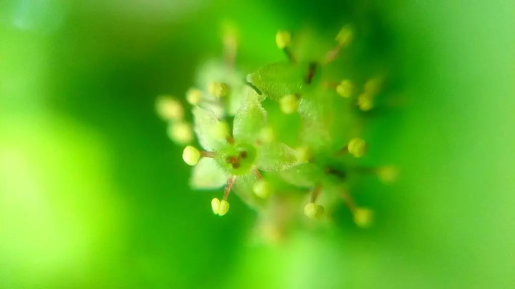 Fotka č. 3 k příspěvku 866635