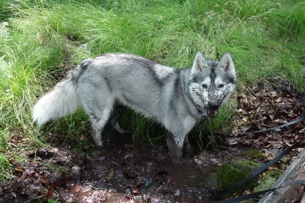 Fotka č. 1 k příspěvku 873609