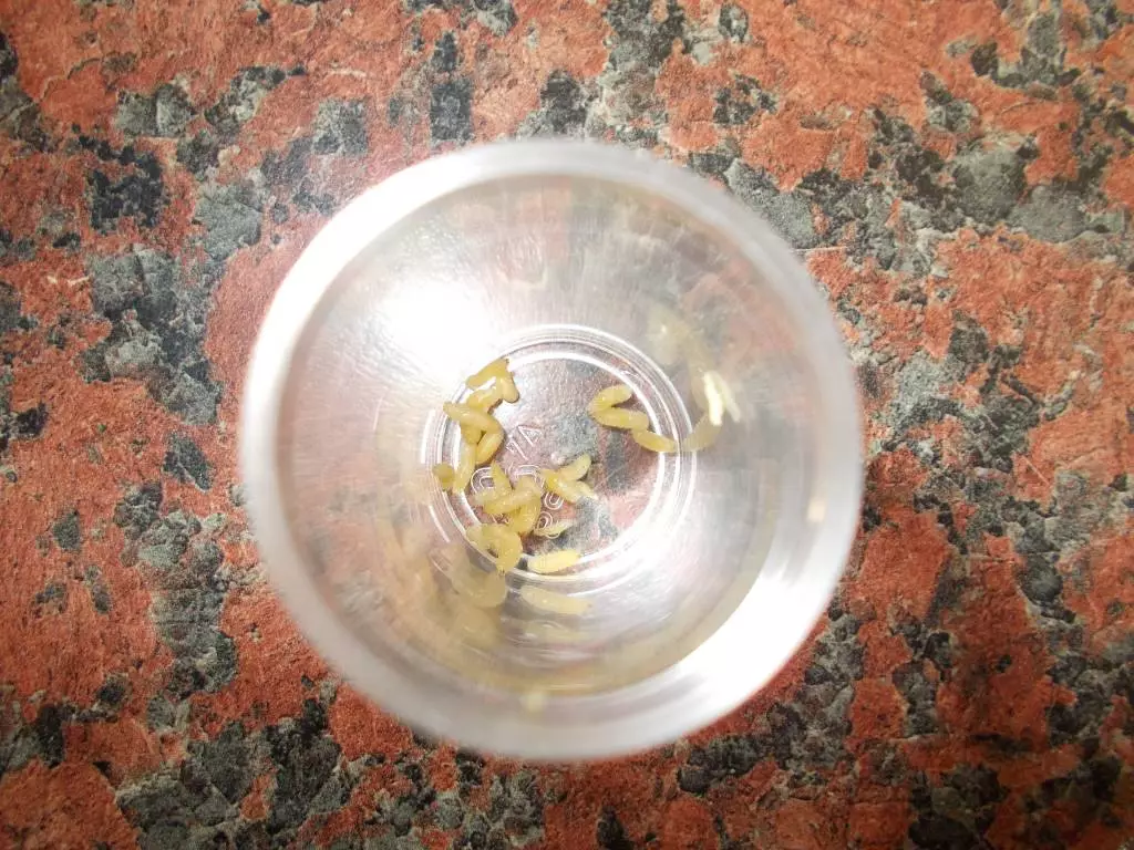 Fotka č. 3 k příspěvku 873715