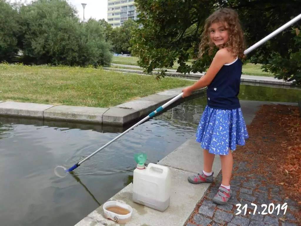 Fotka č. 1 k příspěvku 876565