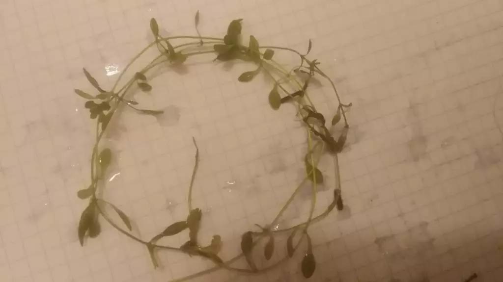 Fotka č. 3 k příspěvku 877371