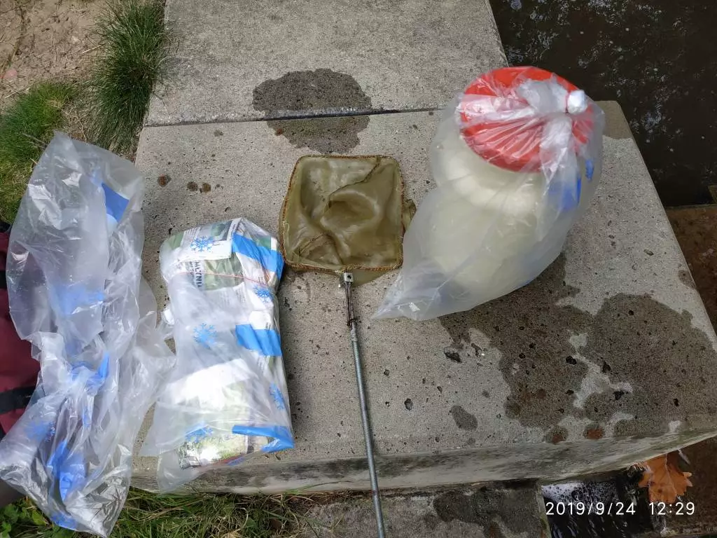 Fotka č. 4 k příspěvku 882071