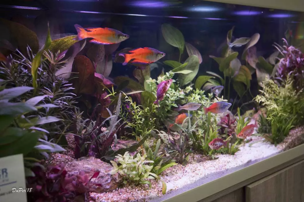 Fotka č. 2 k příspěvku 884498