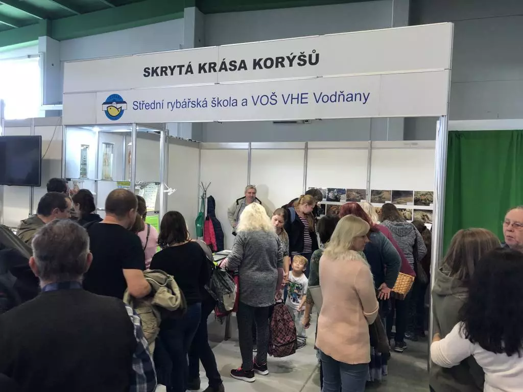 Fotka č. 1 k příspěvku 885175