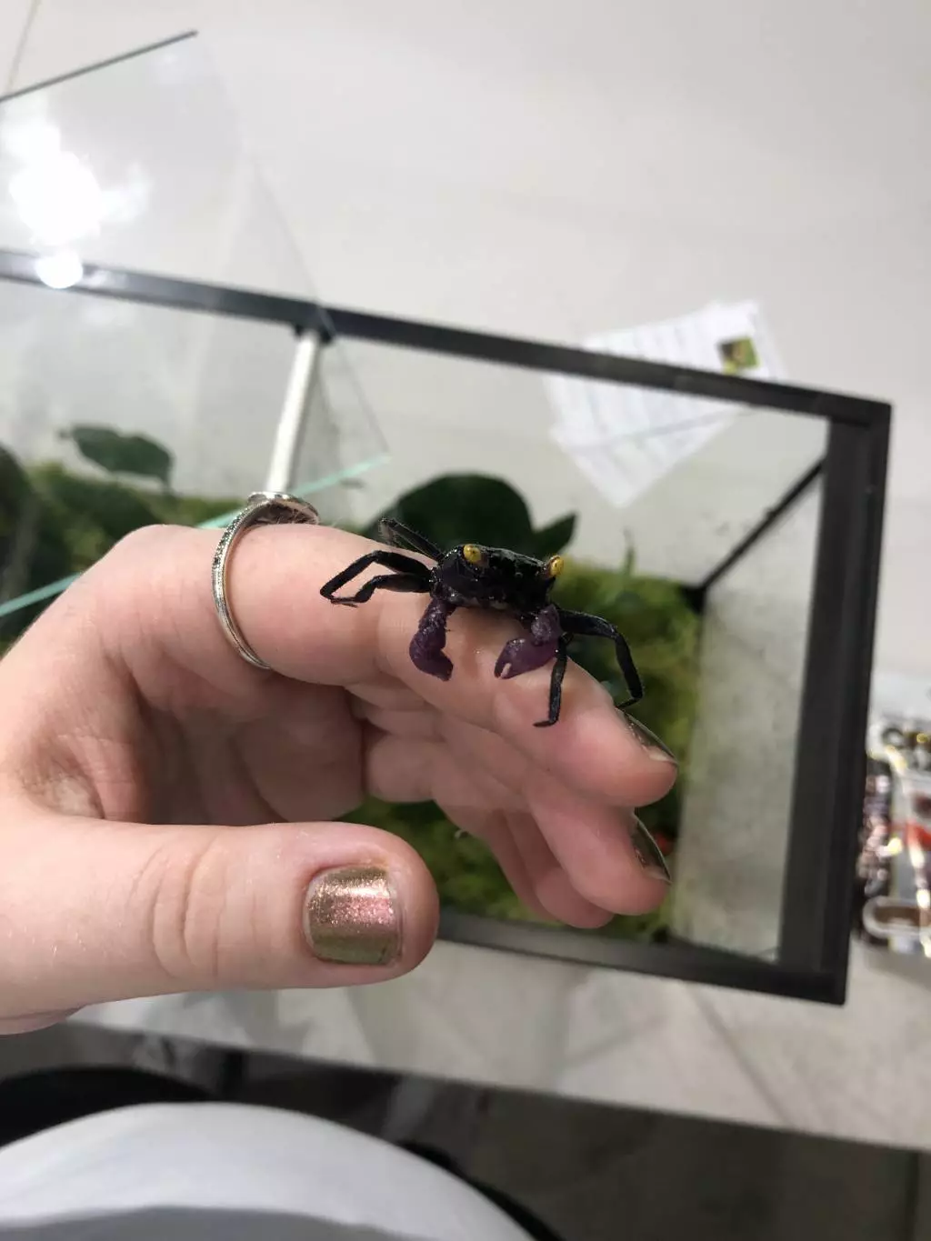 Fotka č. 5 k příspěvku 885175