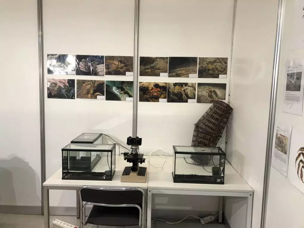 Fotka č. 2 k příspěvku 885187