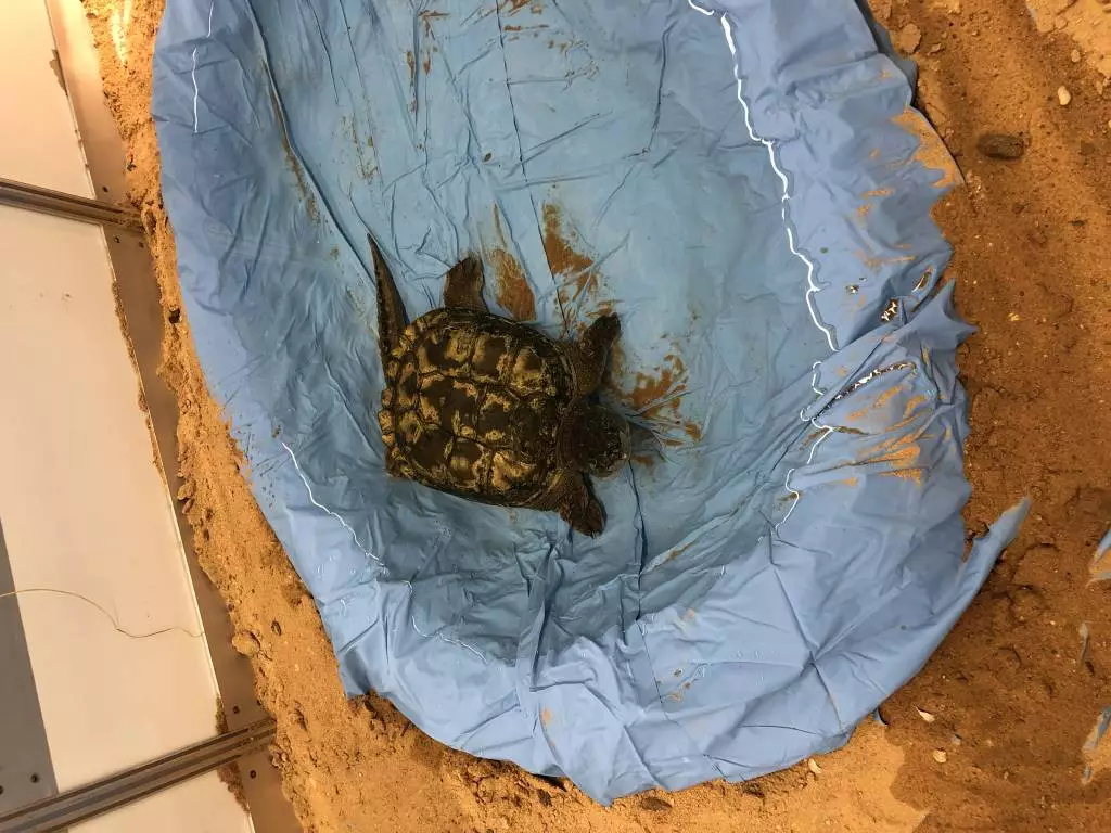 Fotka č. 1 k příspěvku 885188