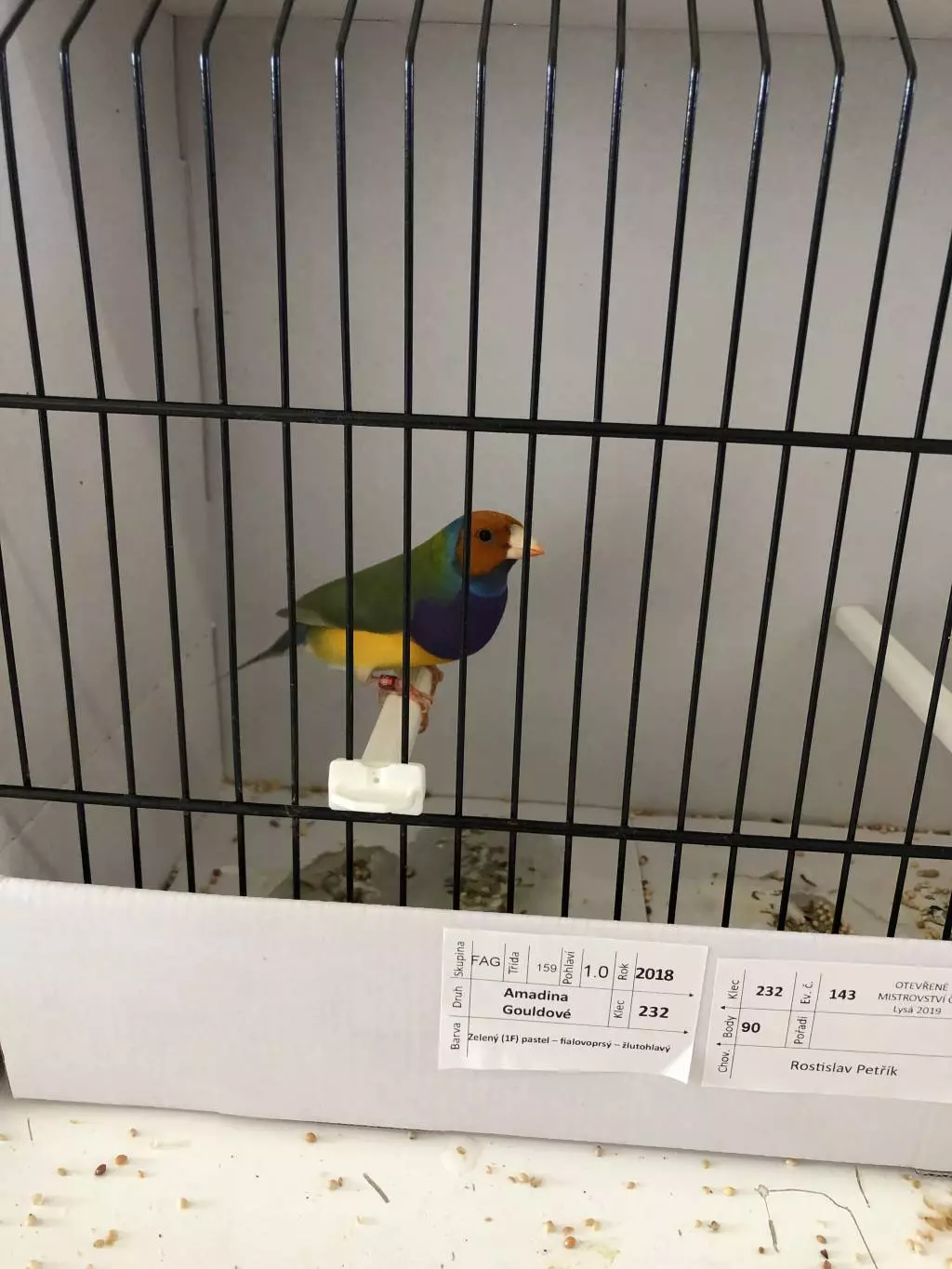 Fotka č. 4 k příspěvku 885188