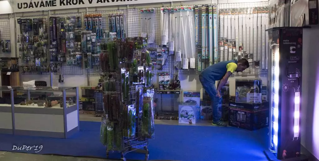 Fotka č. 1 k příspěvku 885214