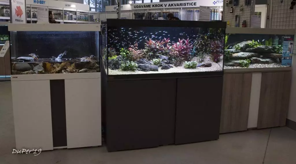 Fotka č. 2 k příspěvku 885214