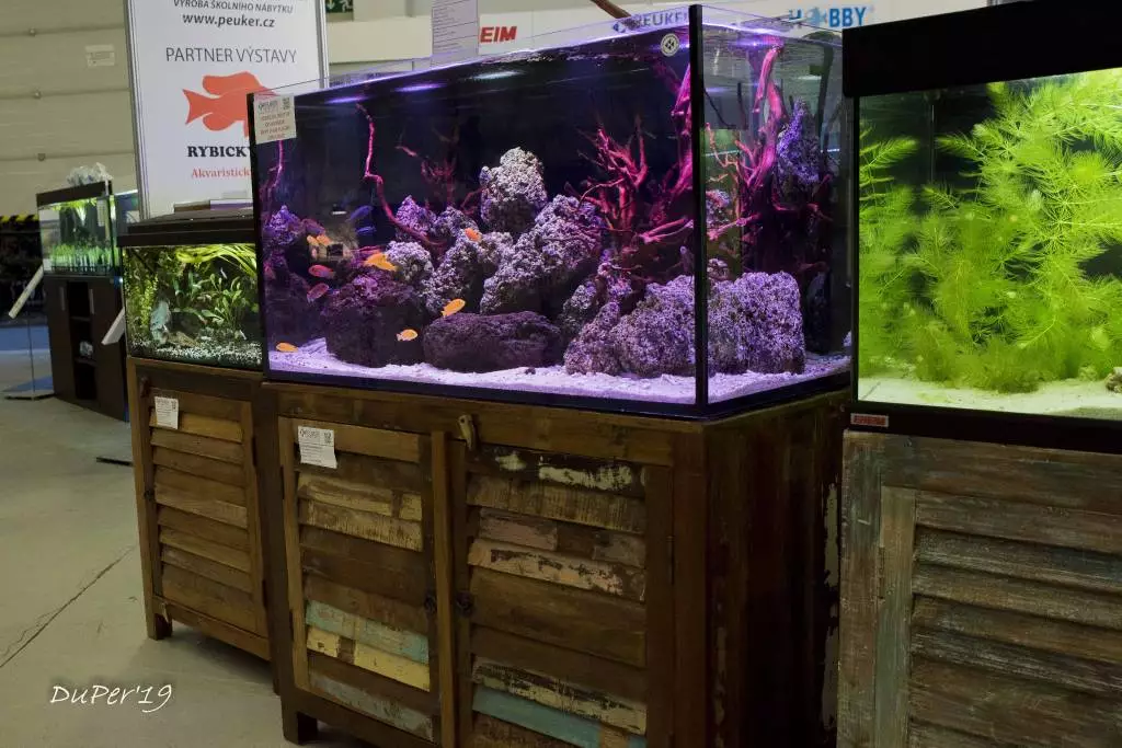 Fotka č. 4 k příspěvku 885214