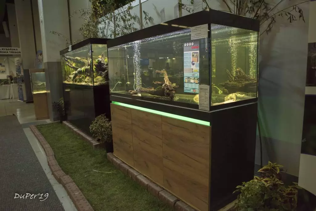 Fotka č. 5 k příspěvku 885214