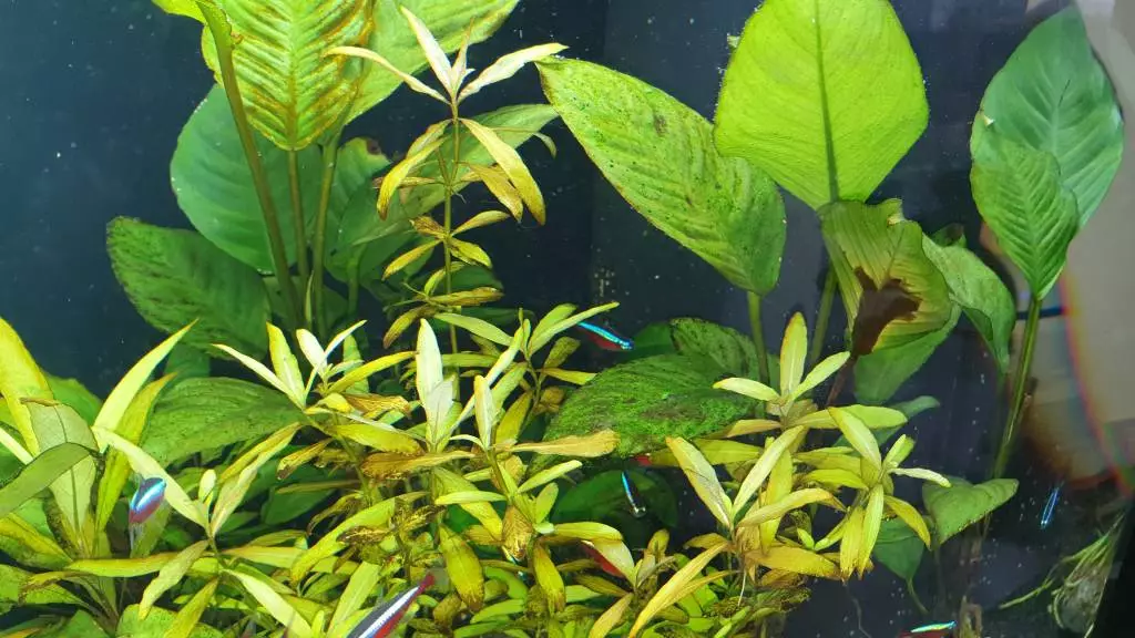 Fotka č. 4 k příspěvku 887494