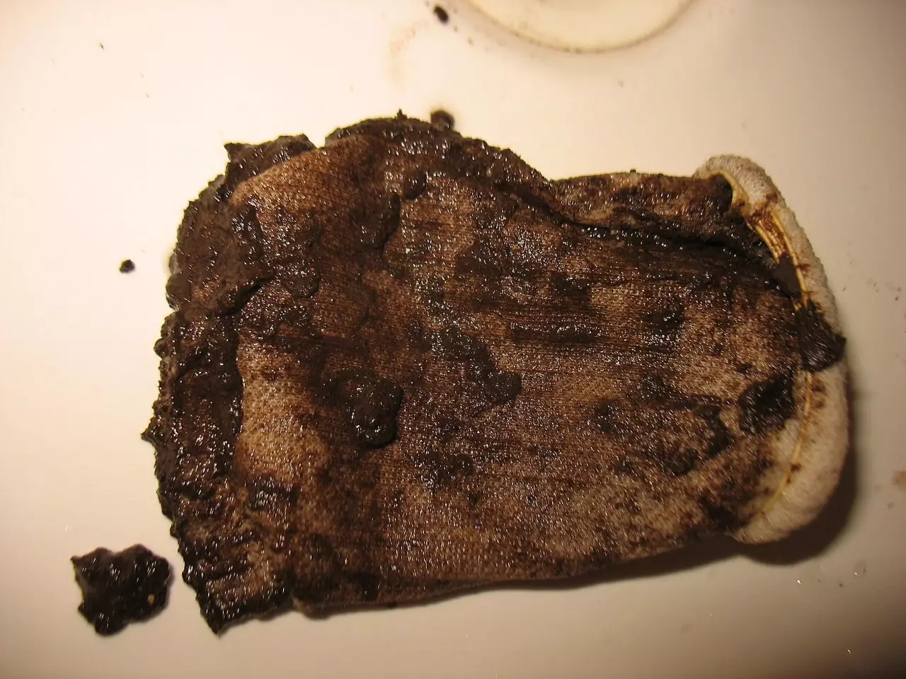 Fotka č. 3 k příspěvku 894370