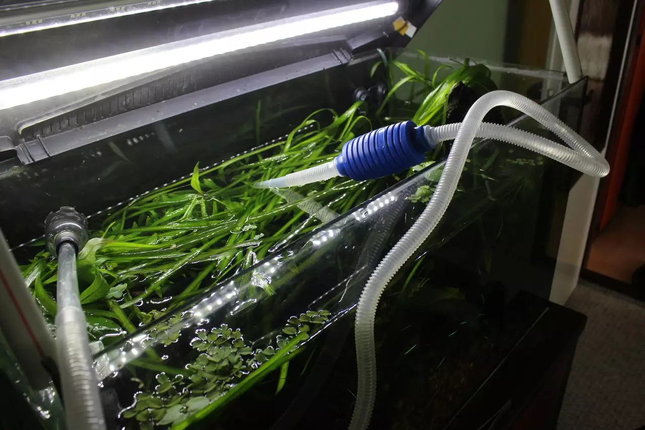 Fotka č. 2 k příspěvku 894461