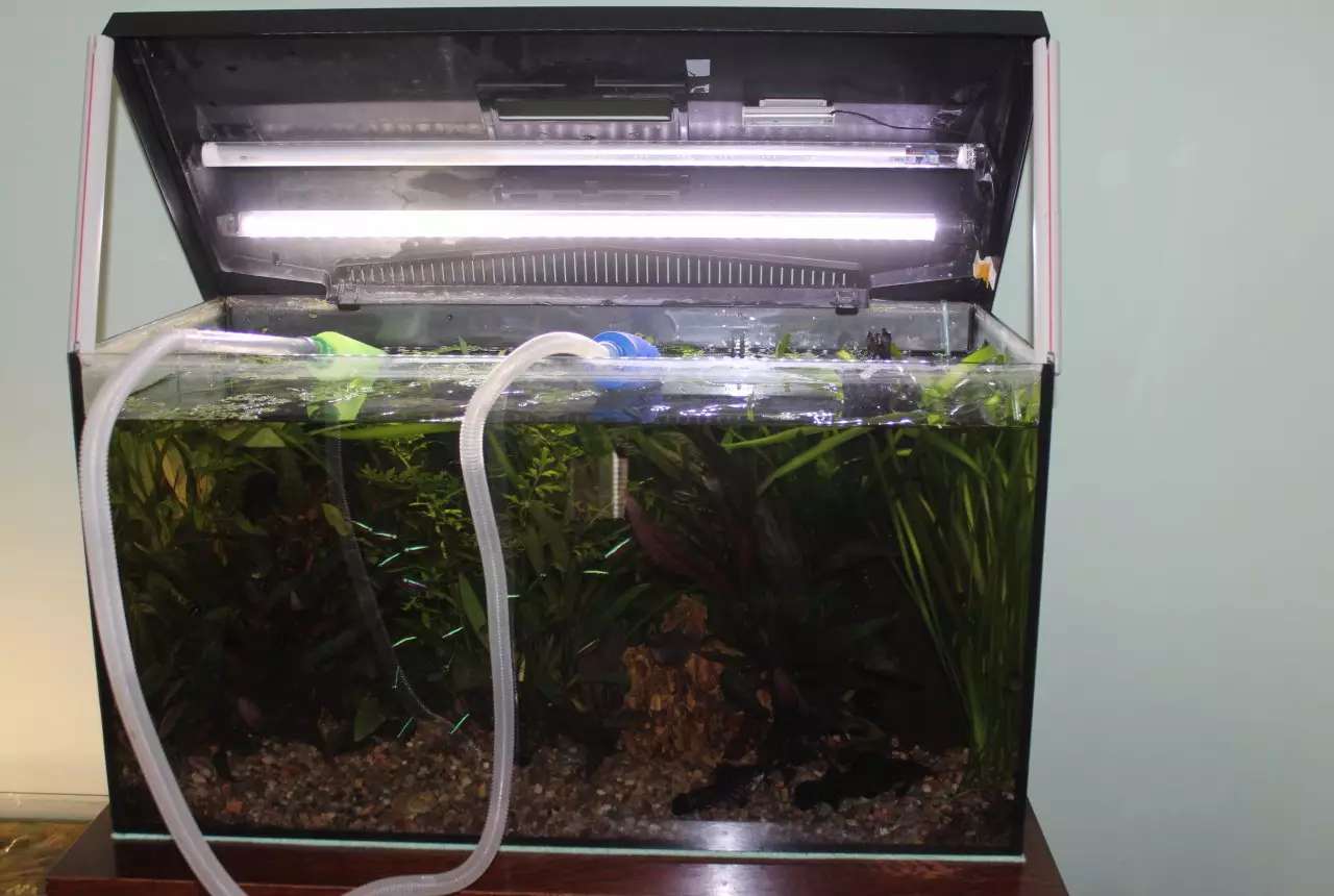 Fotka č. 3 k příspěvku 894461