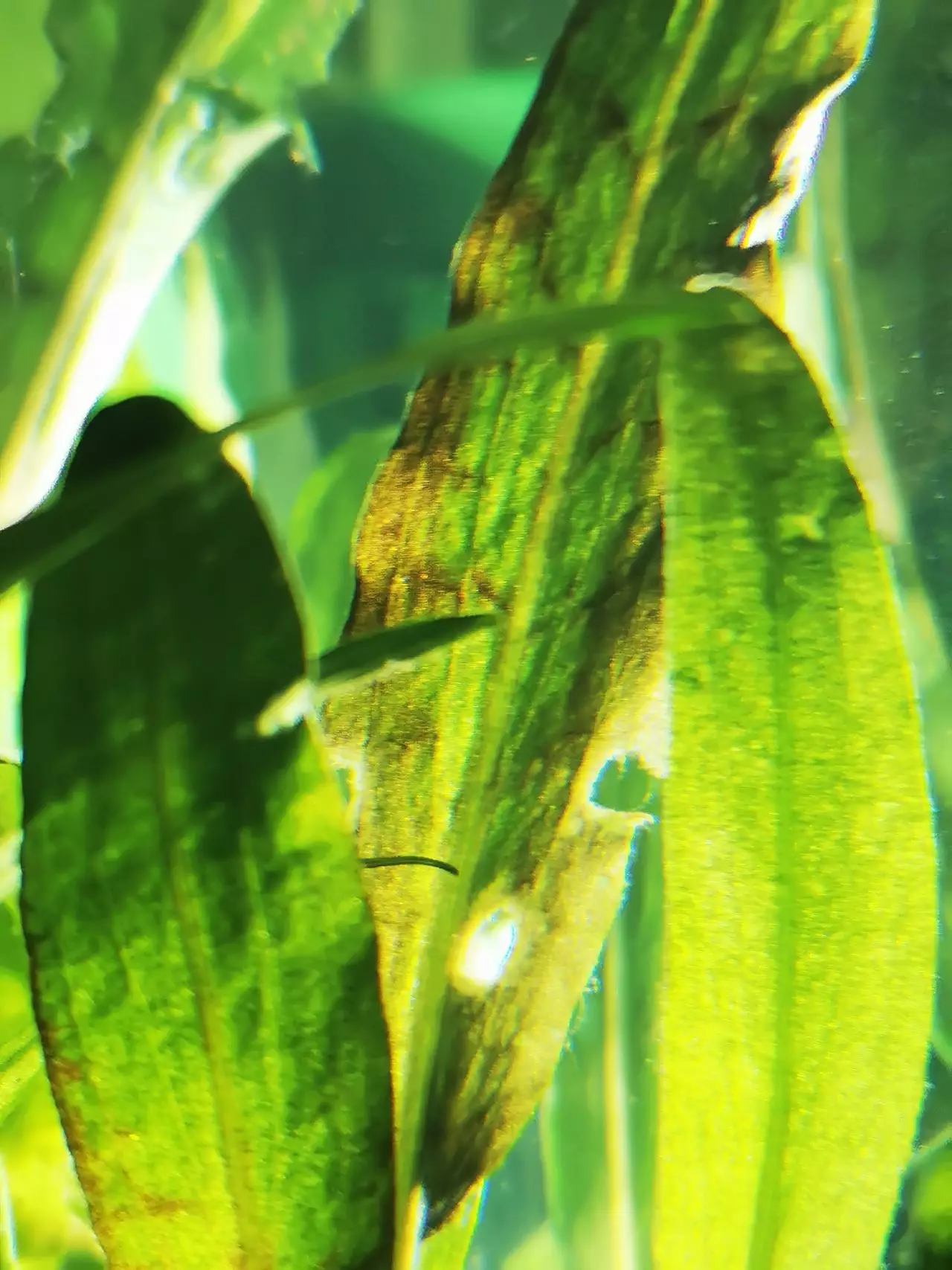 Fotka č. 1 k příspěvku 898884