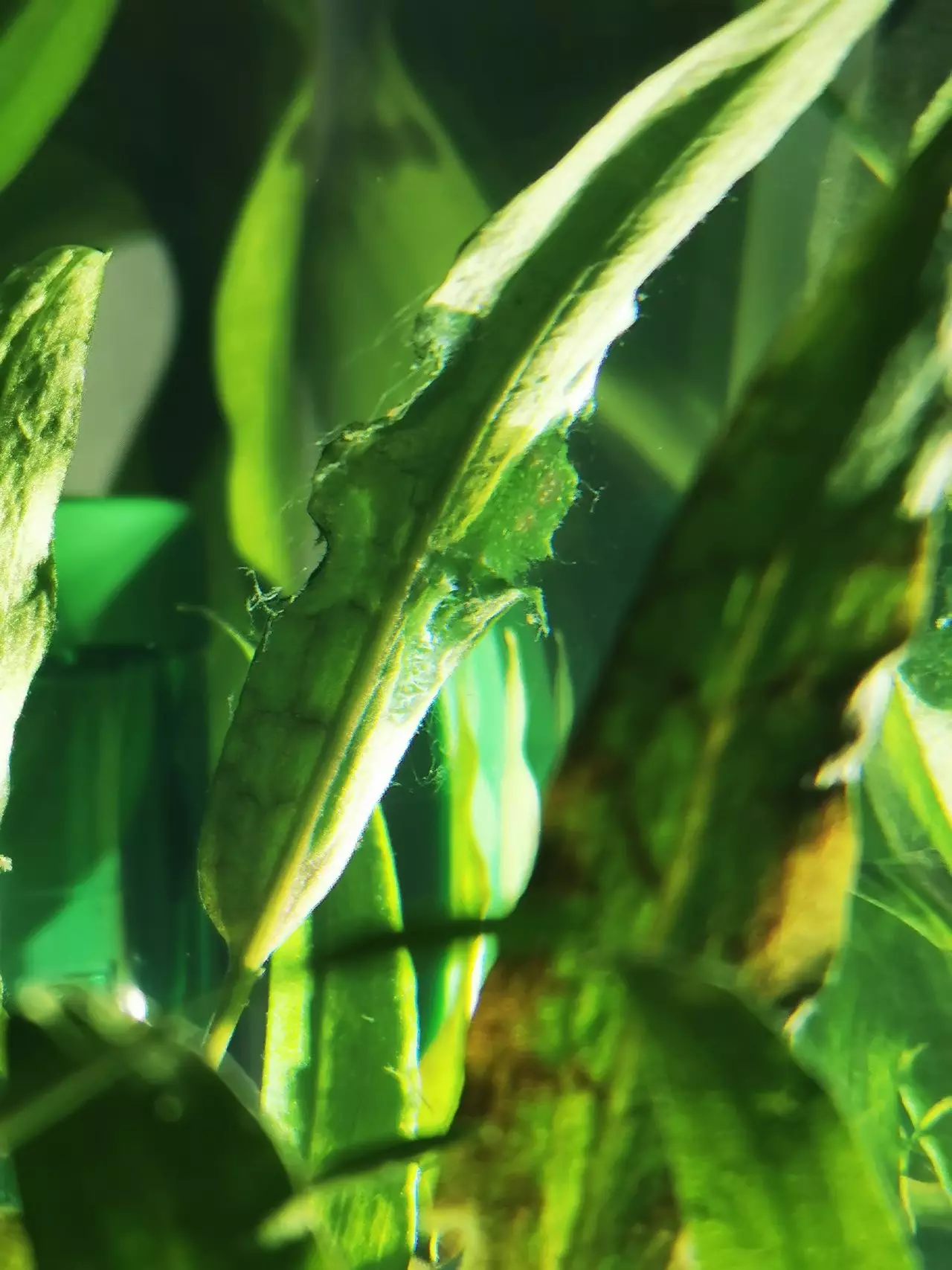 Fotka č. 2 k příspěvku 898884