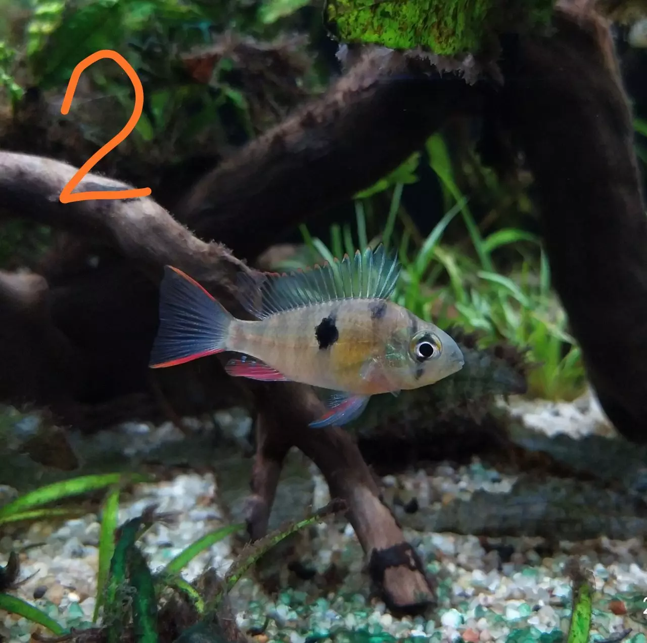 Fotka č. 2 k příspěvku 899860