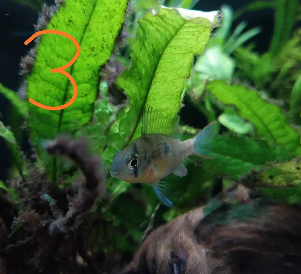 Fotka č. 3 k příspěvku 899860