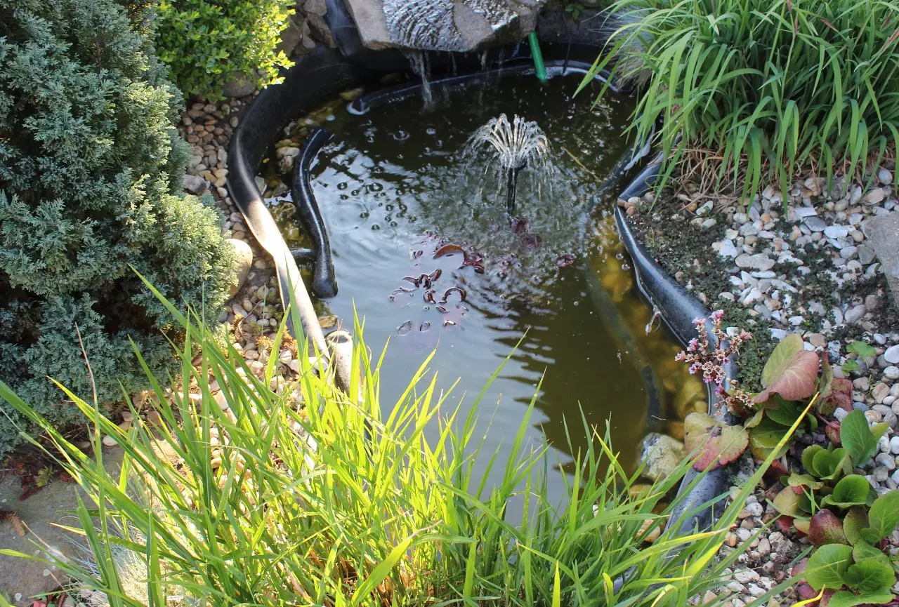 Fotka č. 1 k příspěvku 902483