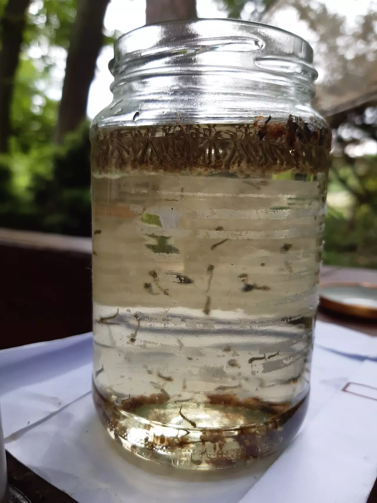 Fotka č. 2 k příspěvku 905243