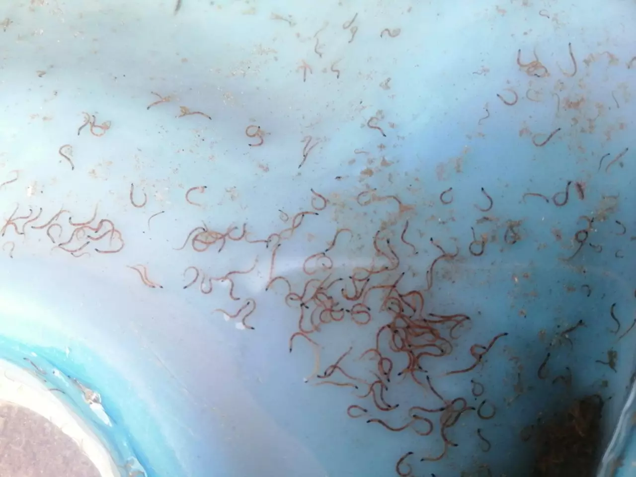 Fotka č. 1 k příspěvku 905410