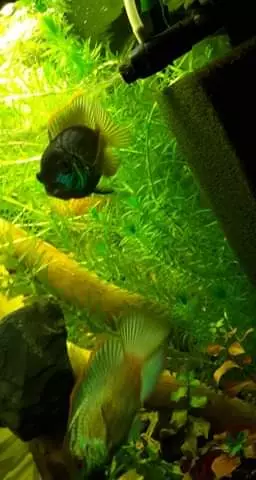 Fotka č. 3 k příspěvku 906966