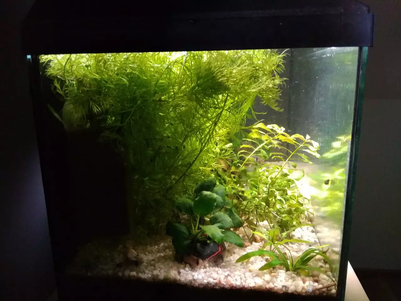 Fotka č. 3 k příspěvku 915080