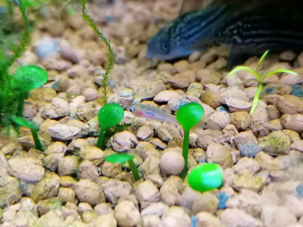 Fotka č. 1 k příspěvku 921701