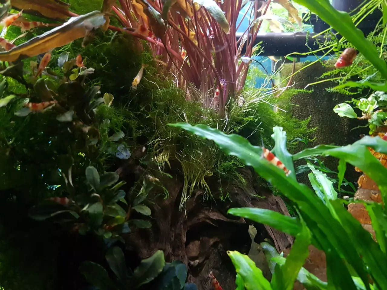 Fotka č. 1 k příspěvku 923739