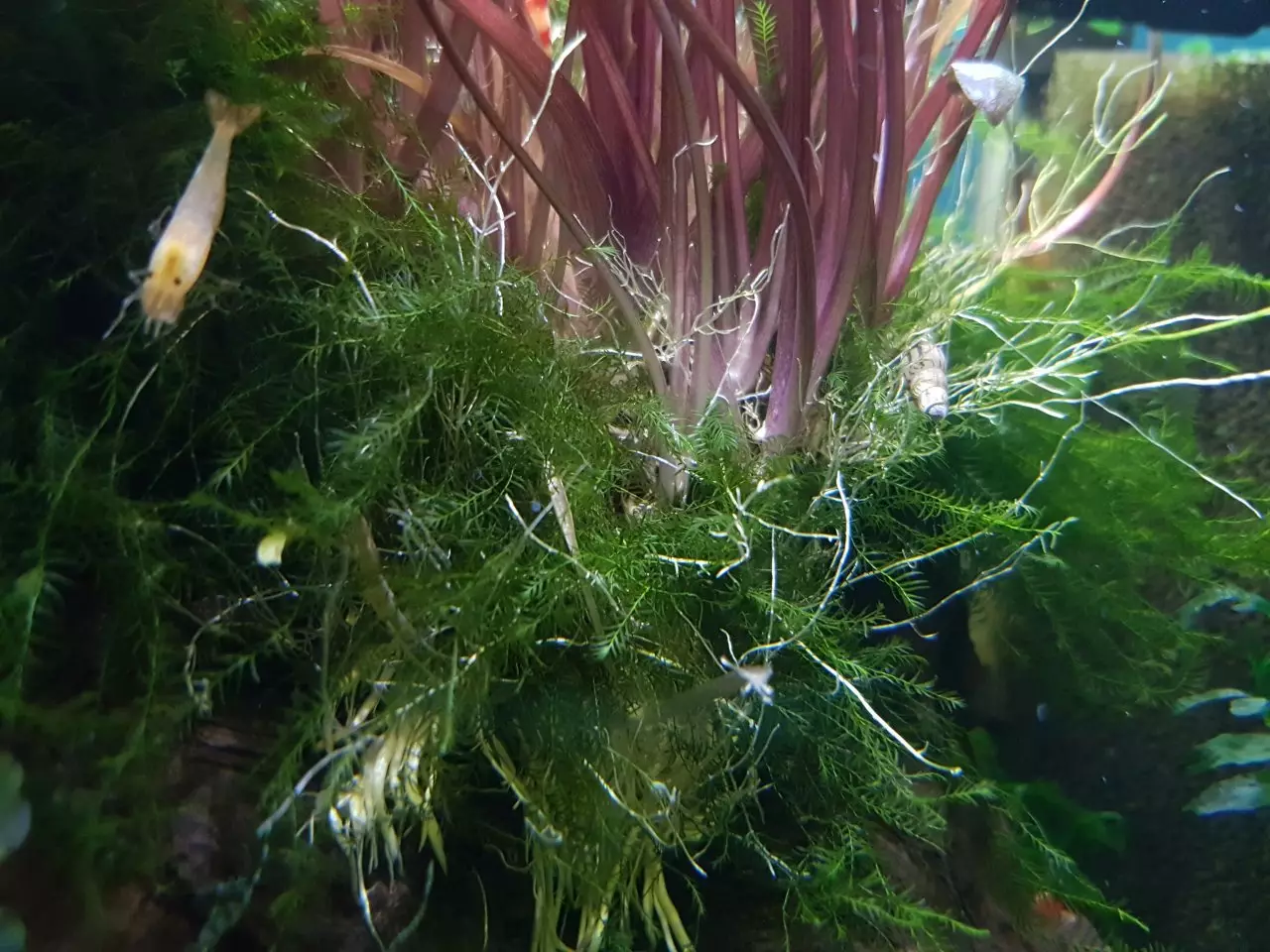 Fotka č. 2 k příspěvku 923739