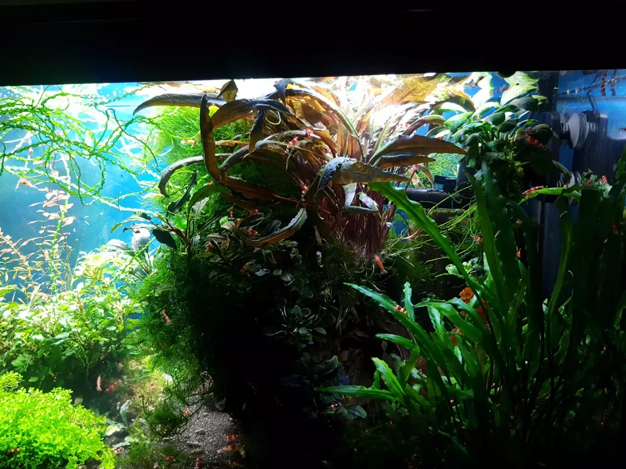 Fotka č. 4 k příspěvku 923739