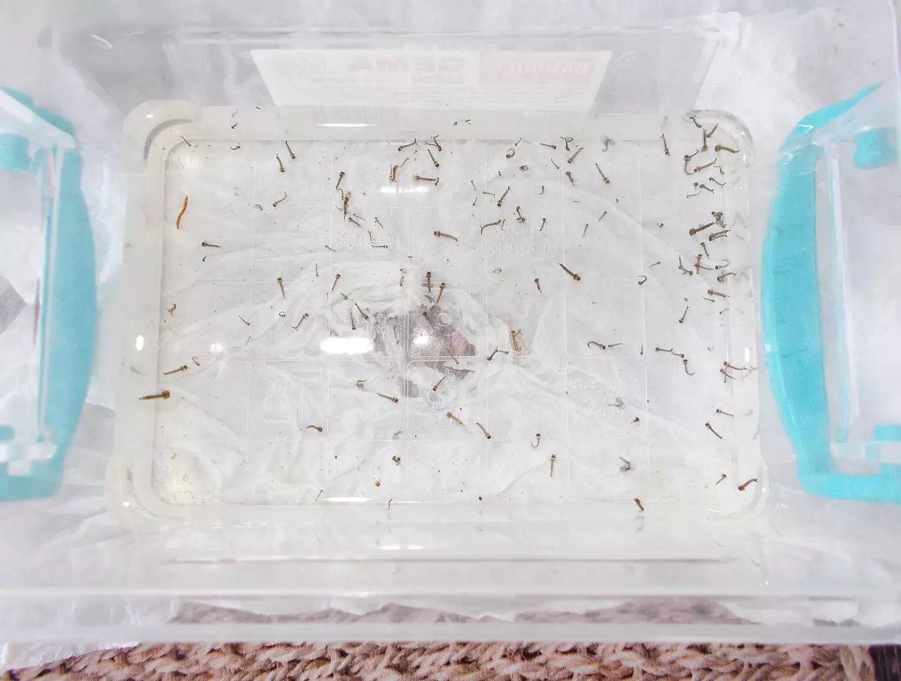 Fotka č. 1 k příspěvku 927296