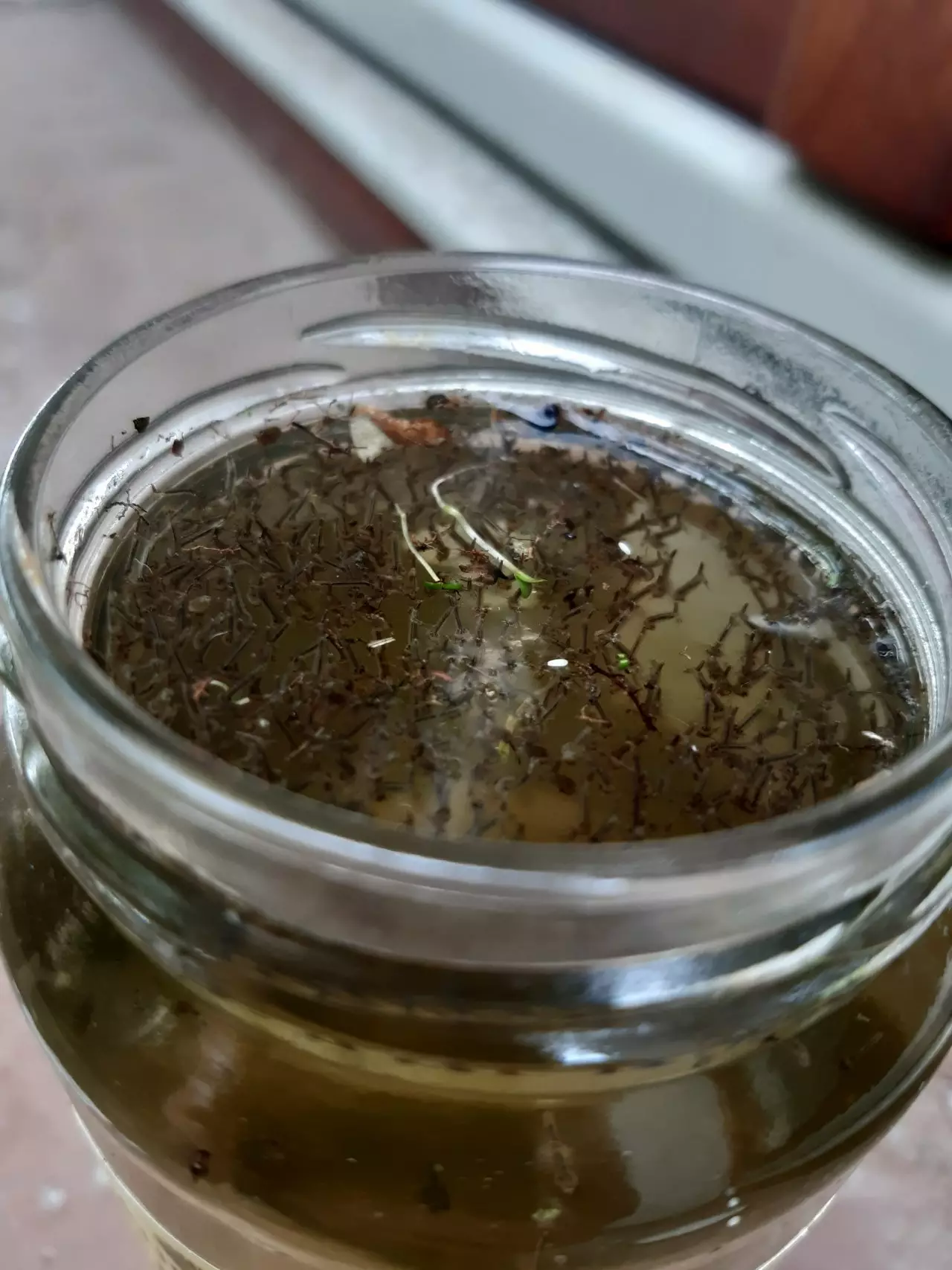 Fotka č. 1 k příspěvku 929620