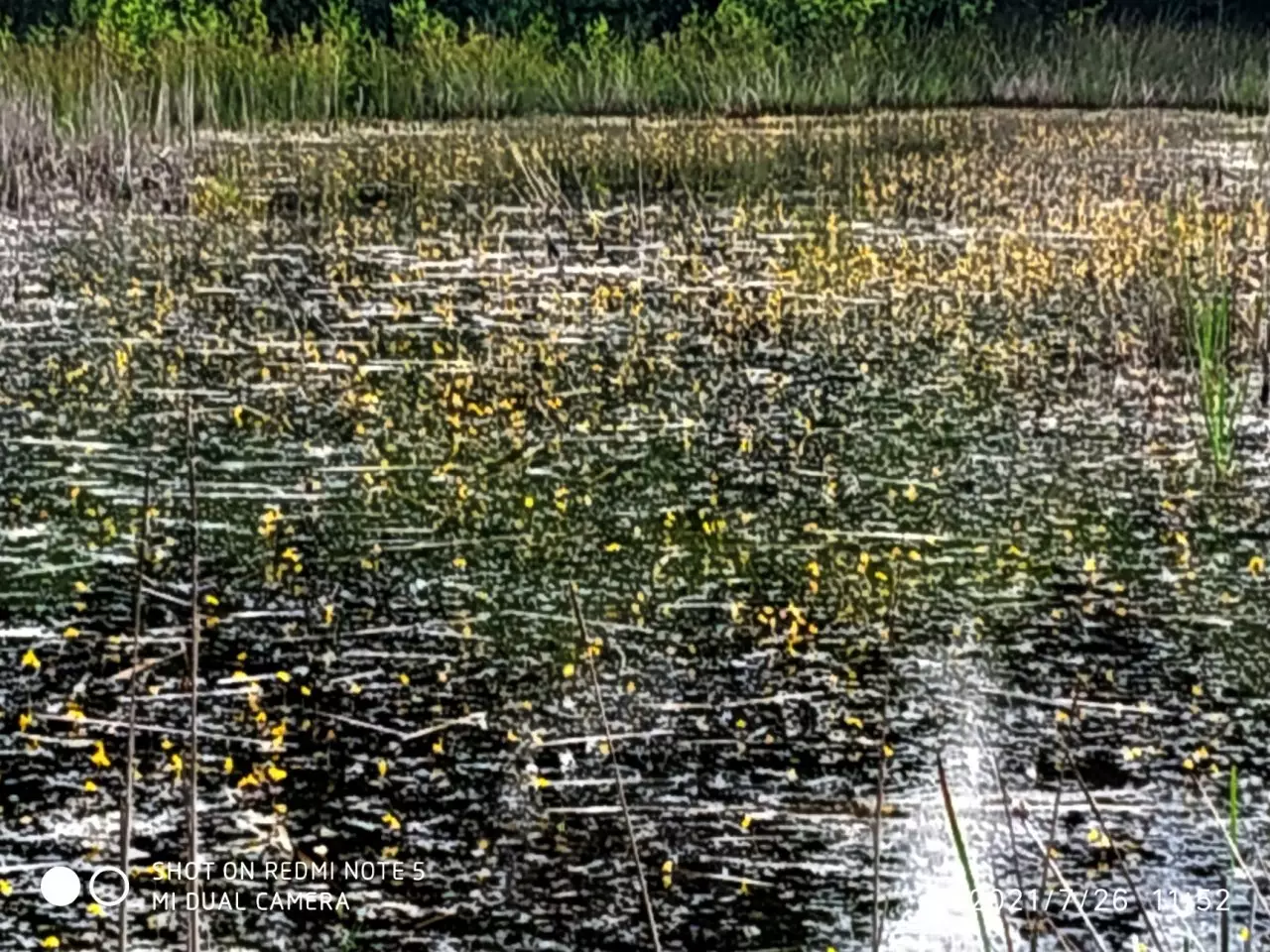 Fotka č. 2 k příspěvku 931862