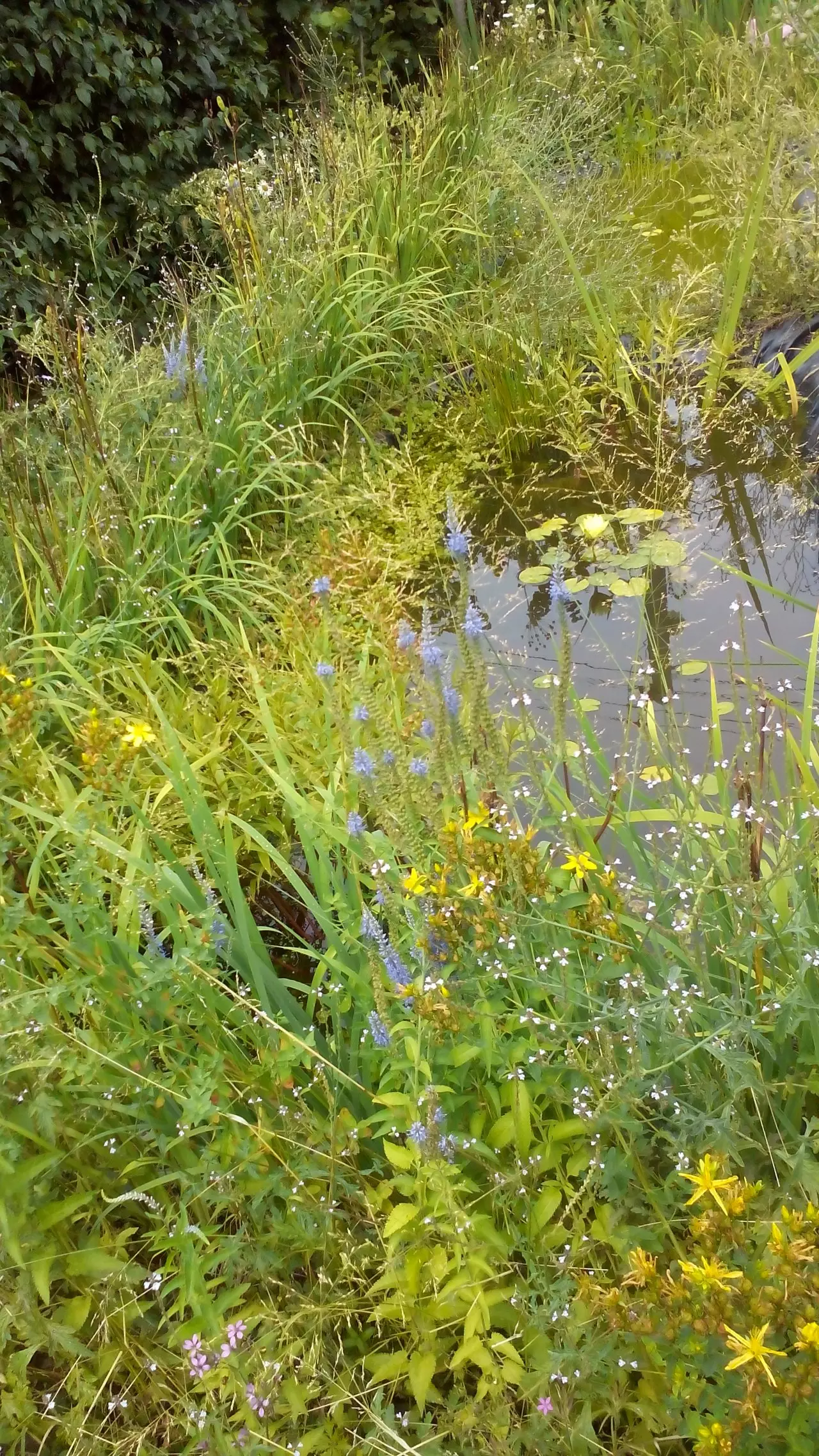 Fotka č. 3 k příspěvku 931884