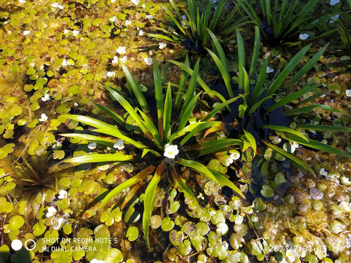 Fotka č. 2 k příspěvku 932077