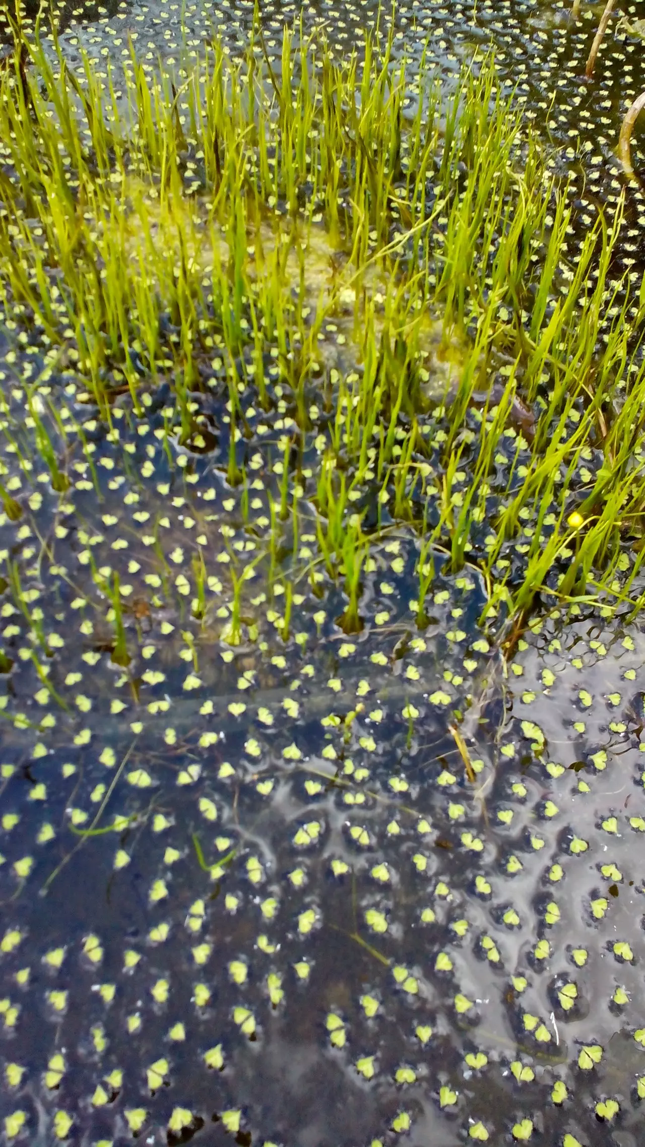 Fotka č. 2 k příspěvku 932080